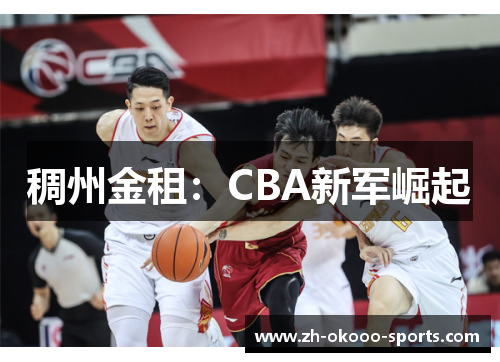 稠州金租:CBA新军崛起 稠州金租:CBA新军崛起
