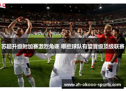 苏超升级附加赛激烈角逐 哪些球队有望晋级顶级联赛 苏超升级附加赛激烈角逐 哪些球队有望晋级顶级联赛